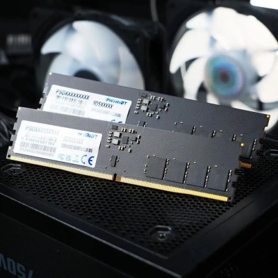 ������ DDR5 32GB 6400MHz Patriot PSD532G6402C Signature RTL