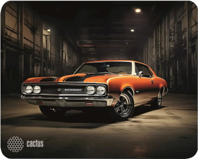 ������ ��� ���� Cactus Orange Car 300x250x2�� (CS-MP-P06M)