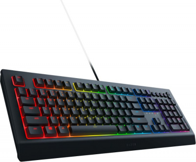  Razer Cynosa v2 (     Chroma) (RZ03-03400700-R3R1)