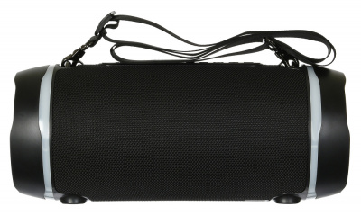 ������� Digma S-39 ������ 25W 1.0 BT/USB 300mAh (SP3925B)