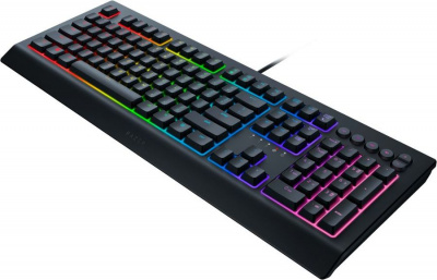  Razer Cynosa v2 (     Chroma) (RZ03-03400700-R3R1)