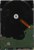 Жесткий диск WD Red Pro WD240KFGX, 24ТБ, HDD, SATA III, 3.5" Жесткий диск WD Red Pro WD240KFGX, 24ТБ, HDD, SATA III, 3.5"
