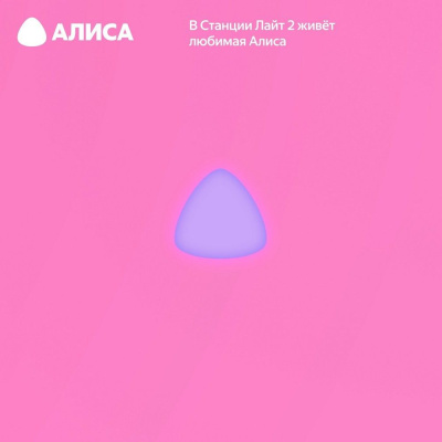 ����� ������� ������ ������� ���� 2 � ������, ��� �����, 6 ��, ������ YNDX-00028 ������� (YNDX-00028PNK)