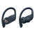 ������������ �������� Beats Powerbeats Pro Totally Wireless, �����-�����