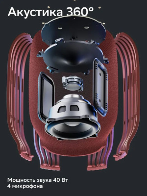 ������������ ������� ����� SberBoom ������ SBDV-00090, ���� ������������, �������� ����� SBER